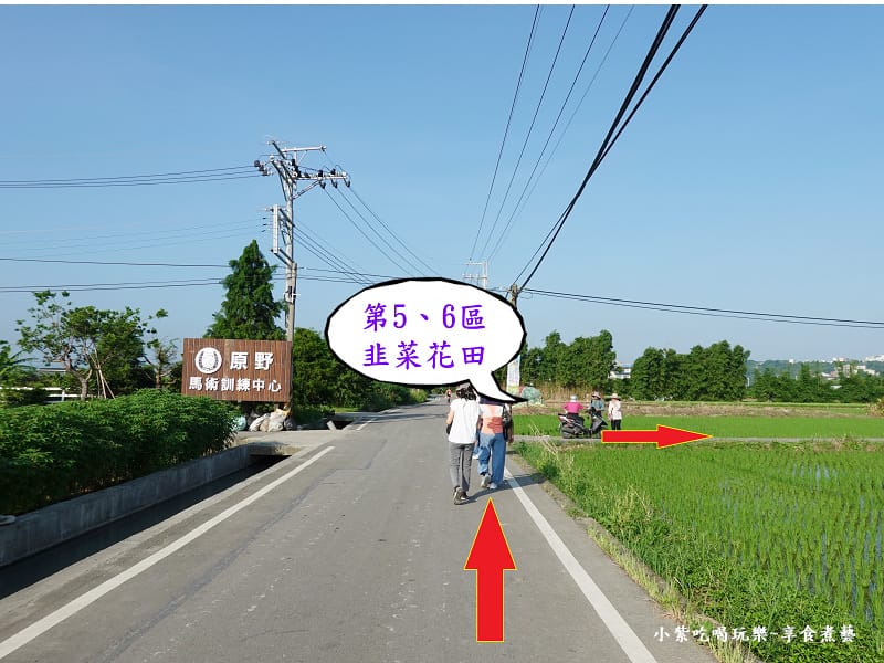 往第56區韭菜花田-2024大溪韭菜花季 (2).jpg