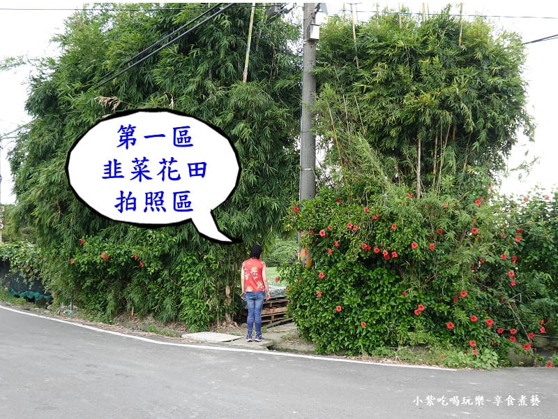 第一區韭菜花田-2024大溪韭菜花季 (6).jpg