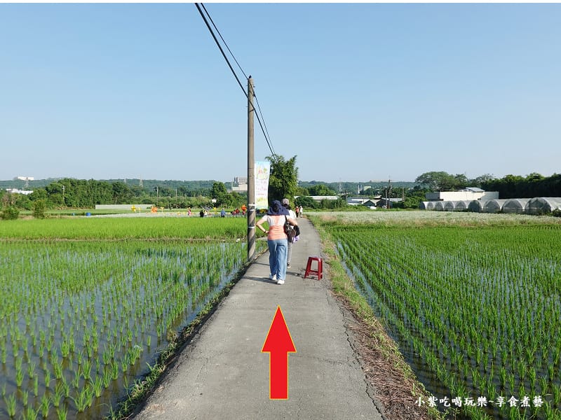 往第56區韭菜花田-2024大溪韭菜花季 (1).jpg
