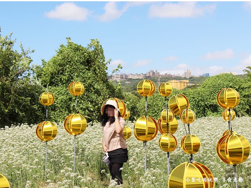 第3區-2024大溪韭菜花節.jpg