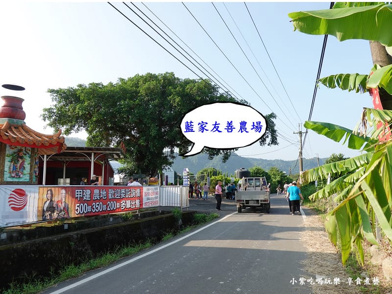 2024中新里韭菜花季 (2).jpg