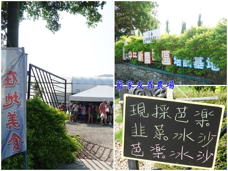 藍家友善農場-2024大溪韭菜花季 (4).jpg
