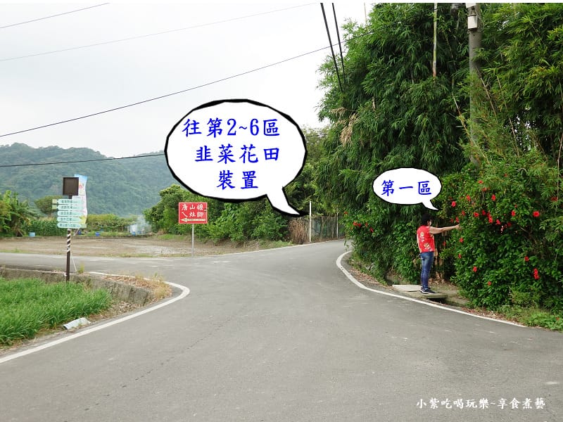 第一區韭菜花田-2024大溪韭菜花季 (1).jpg