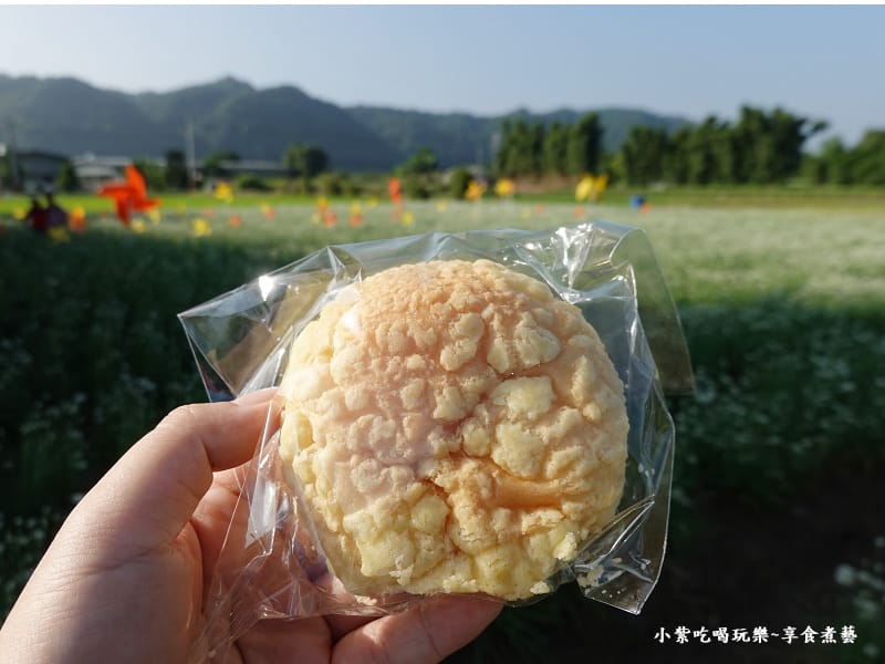 第五區韭菜花田假日小販-2024大溪韭菜花季 (3).jpg