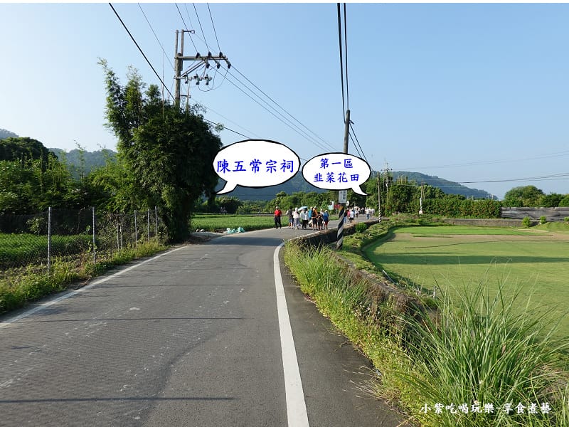 2024中新里韭菜花季 (3).jpg