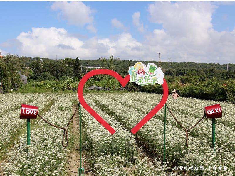第2區已盛開-2024大溪韭菜花節 (2).jpg