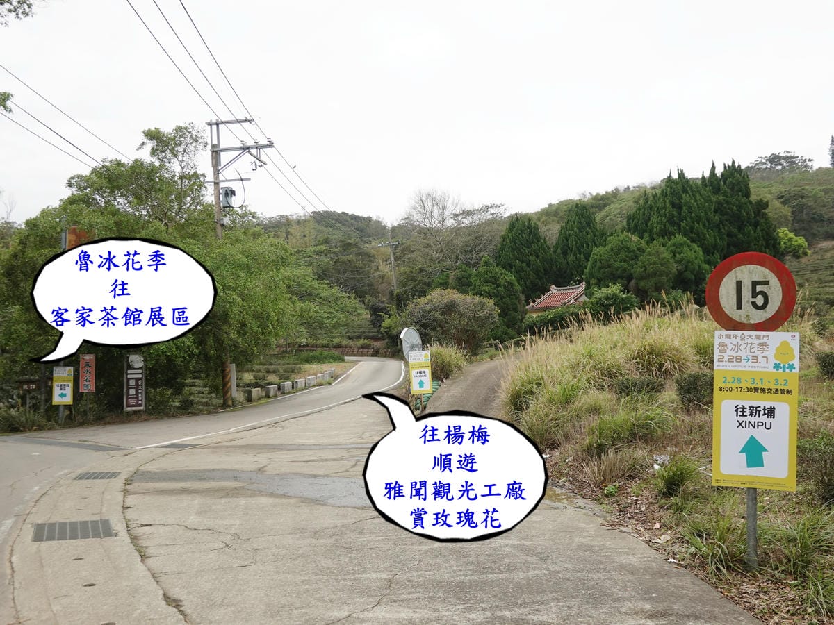 賞魯冰花左彎下山,往楊梅直行.JPG