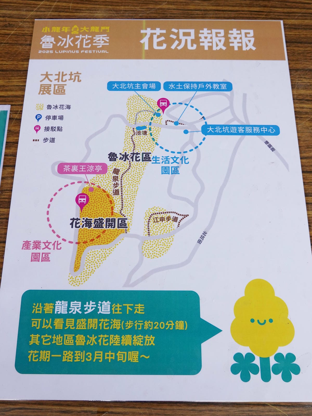 2025龍潭魯冰花況報報.JPG