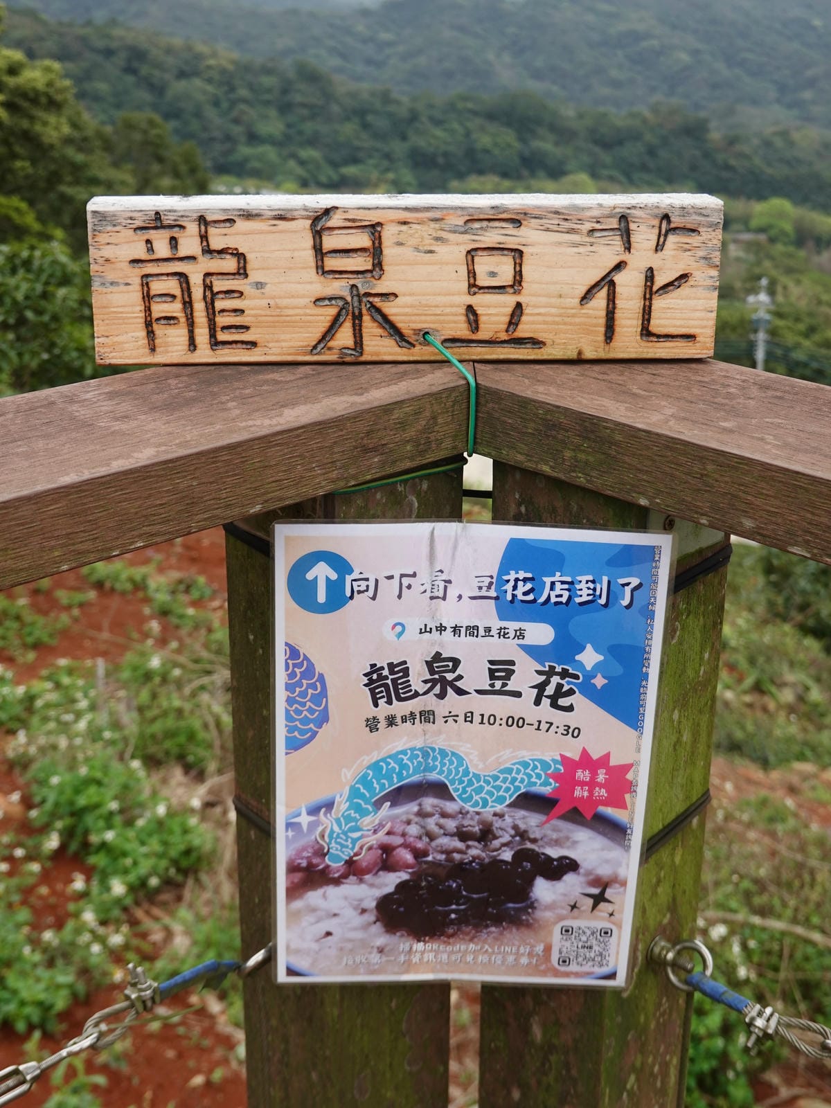 假日營業龍泉豆花-2025龍潭魯冰花季.JPG