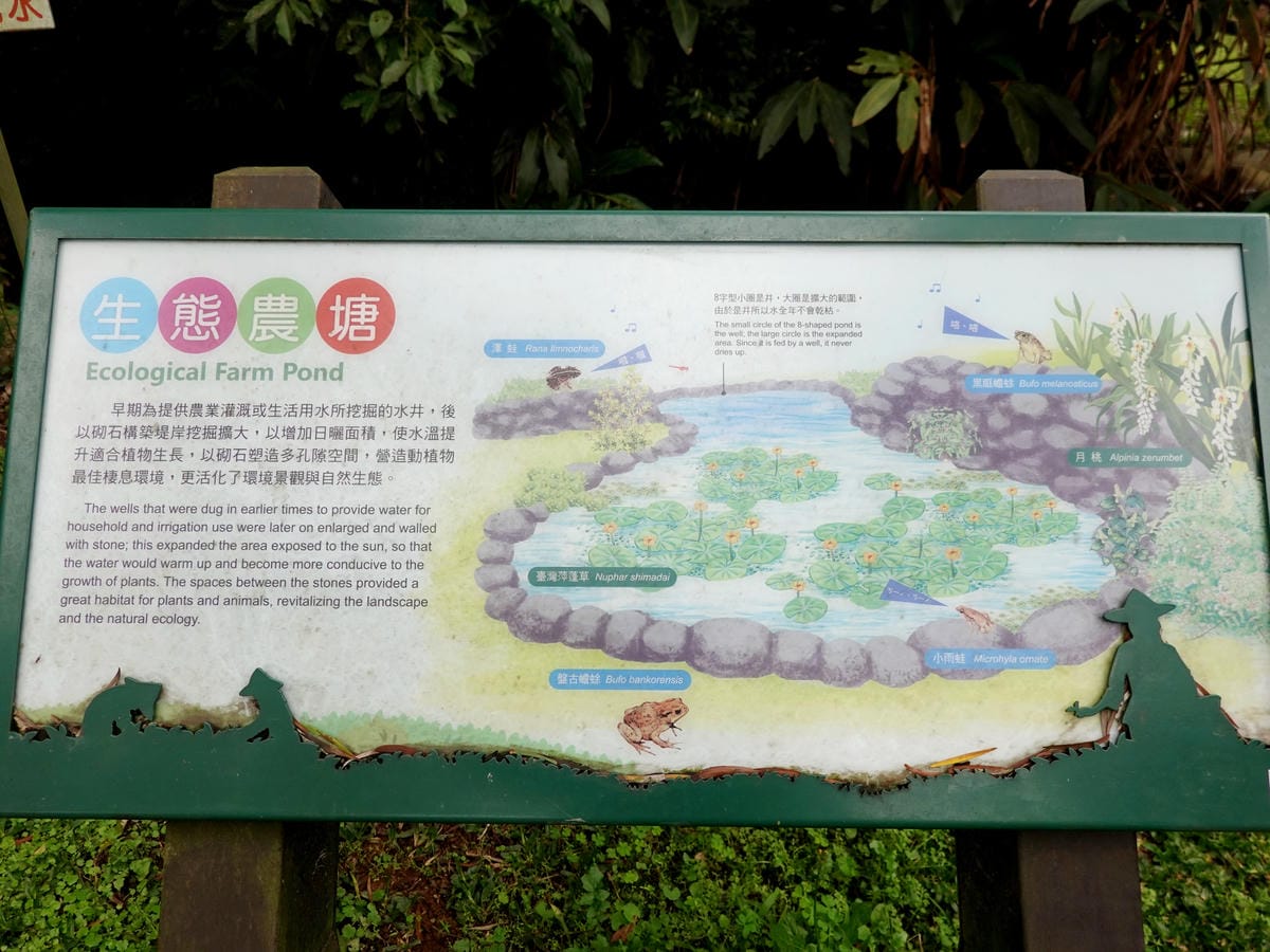 生態農塘-大北坑遊客服務中心對面 (3).JPG