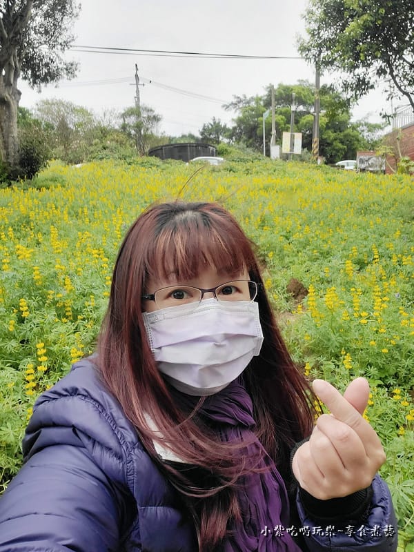 2025大北坑遊客中心(美人世家)下方魯冰花海 (2).jpg