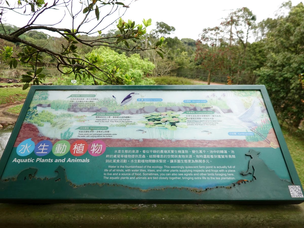 景觀農塘水生動植物介紹-大北坑遊客服務中心對面.JPG
