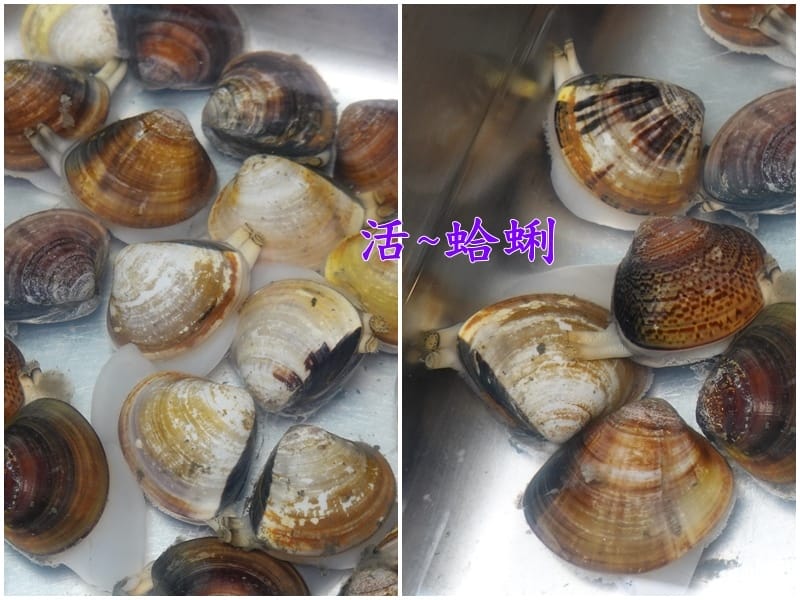 活蛤蜊-鬼椒麻辣王火鍋烤串羅東旗艦店.jpg 活蛤蜊-鬼椒麻辣王火鍋烤串羅東旗艦店.jpg