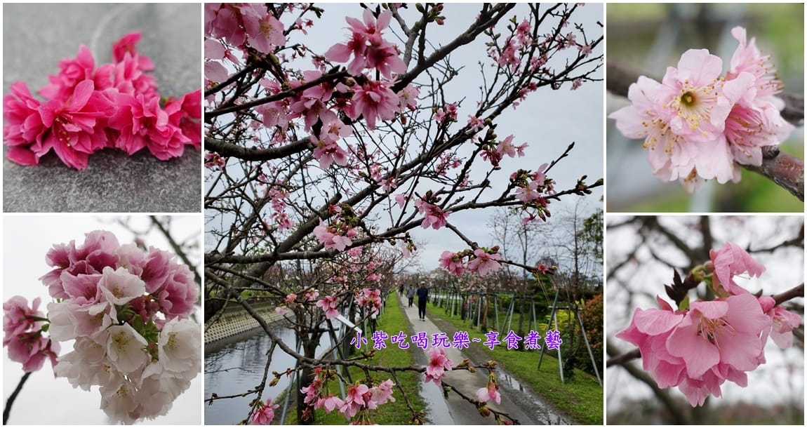 羅東-羅莊大排櫻花步道首圖.jpg 羅東-羅莊大排櫻花步道首圖.jpg