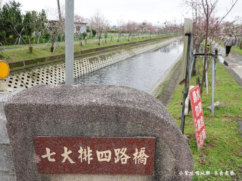 七大排四路橋口-羅莊櫻花步道 (2).jpg