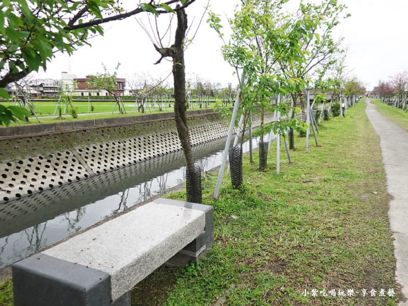 羅莊一街到七大排二路橋-羅莊櫻花步道 (7).jpg