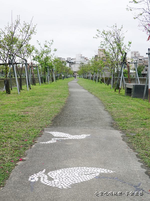 羅莊一街到七大排二路橋-羅莊櫻花步道 (1).jpg