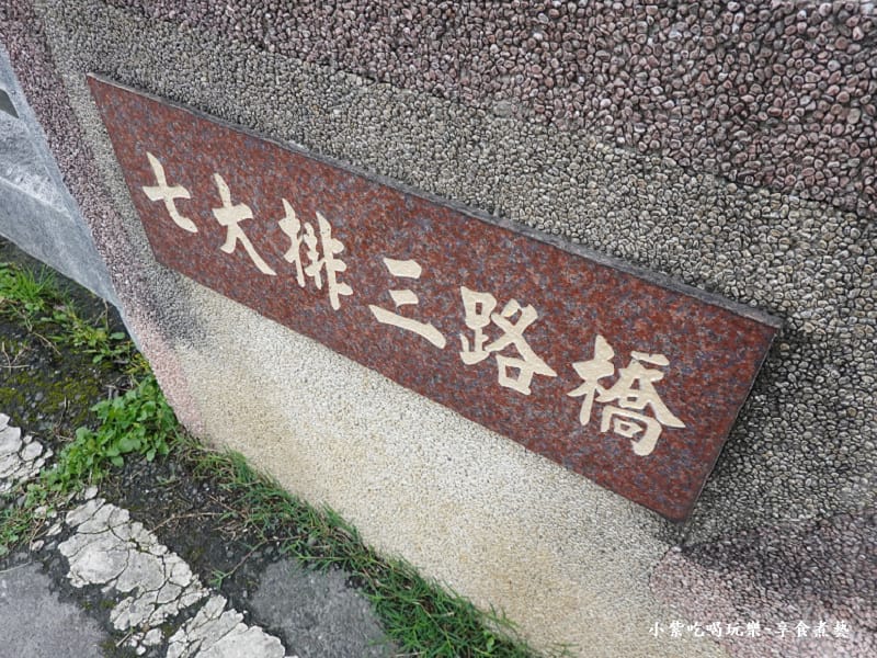 七大排三路橋後段的吉野櫻與香水櫻-羅莊櫻花步道 (2).jpg