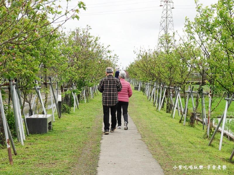 羅莊一街到七大排二路橋-羅莊櫻花步道 (6).jpg
