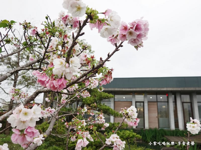 丰格原創磚廊磁磚-羅莊櫻花步道 (2).jpg