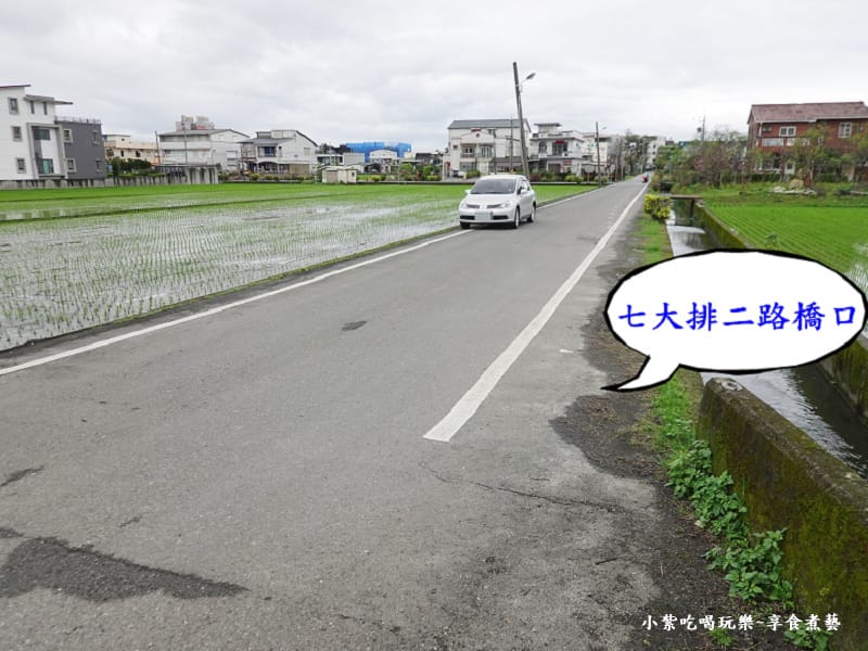 七中排二路橋口-羅莊櫻花步道 (1).jpg