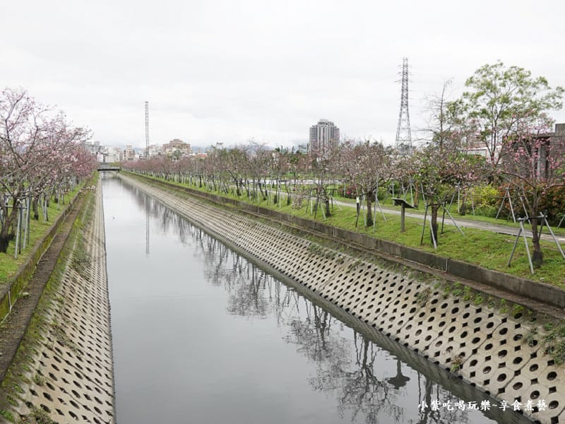 往回看-七大排三路橋到七大排四路橋口-羅莊櫻花步道.jpg