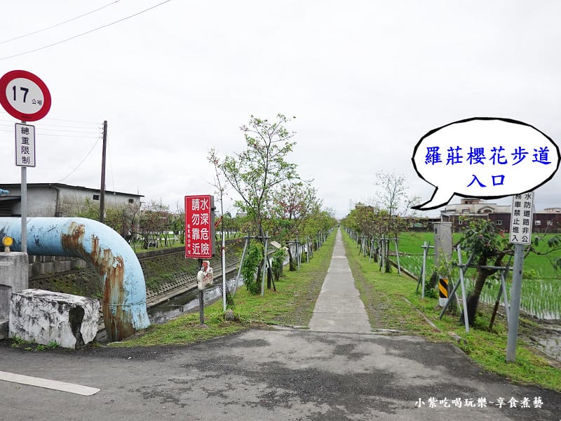羅莊一街-羅莊櫻花步道入口 (1).jpg