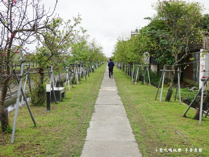 羅莊一街到七大排二路橋-羅莊櫻花步道 (5).jpg