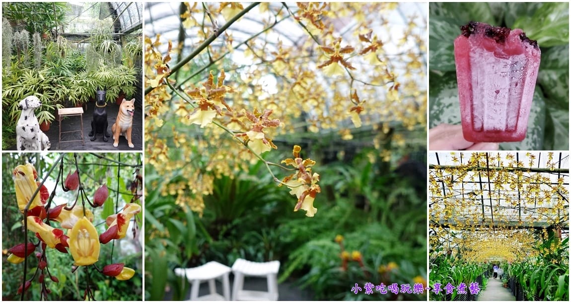 宜蘭員山-金雙甡花卉農場首圖.jpg
