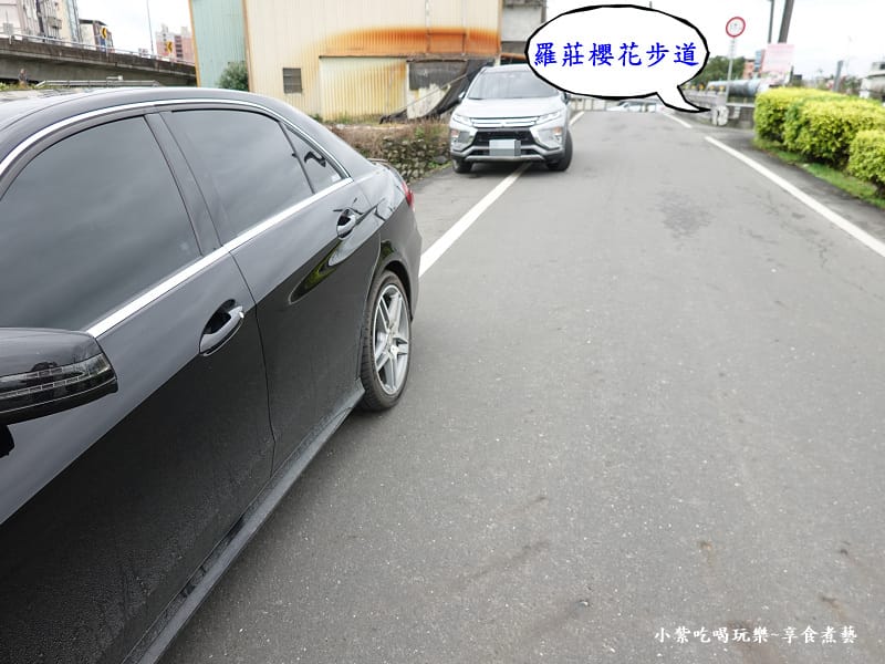 羅莊一街-羅莊櫻花步道入口 (3).jpg