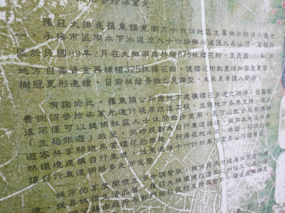 羅莊大排介紹 (2).JPG