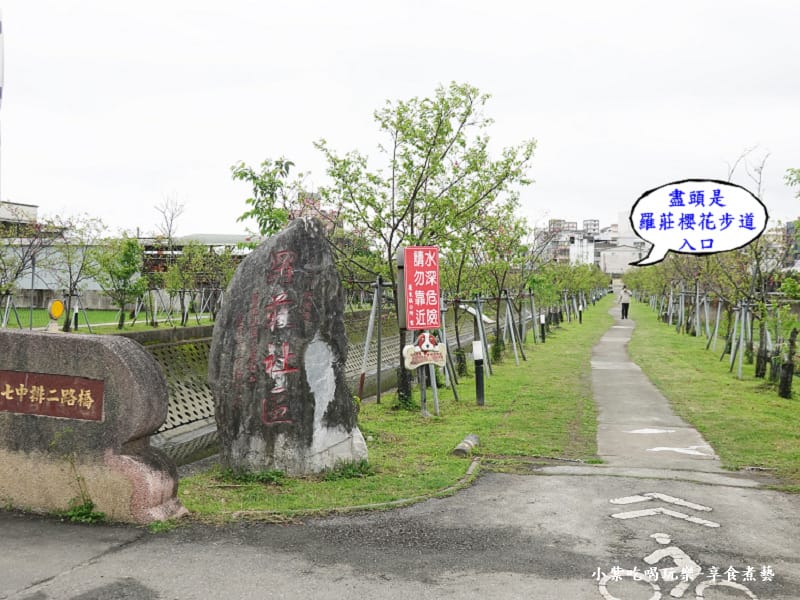 七中排二路橋口-羅莊櫻花步道 (3).jpg