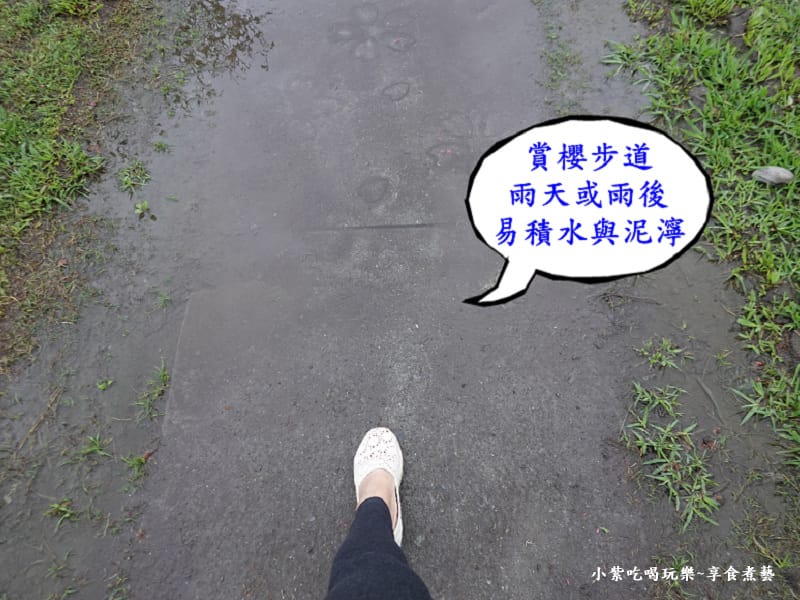 下雨天後會泥濘-羅莊櫻花步道.jpg