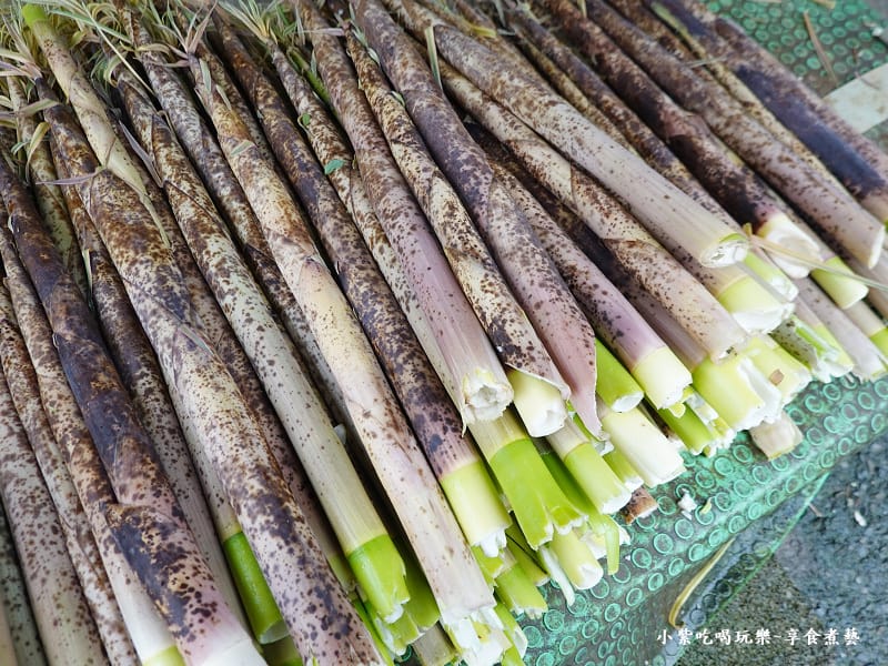 枕頭山商圈-小美小吃現採桂竹筍 (1).jpg 枕頭山商圈-小美小吃現採桂竹筍 (1).jpg