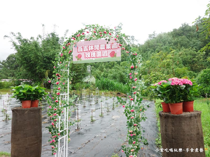 玫瑰園區-百吉休閒農業區遊客中心 (1).jpg 玫瑰園區-百吉休閒農業區遊客中心 (1).jpg