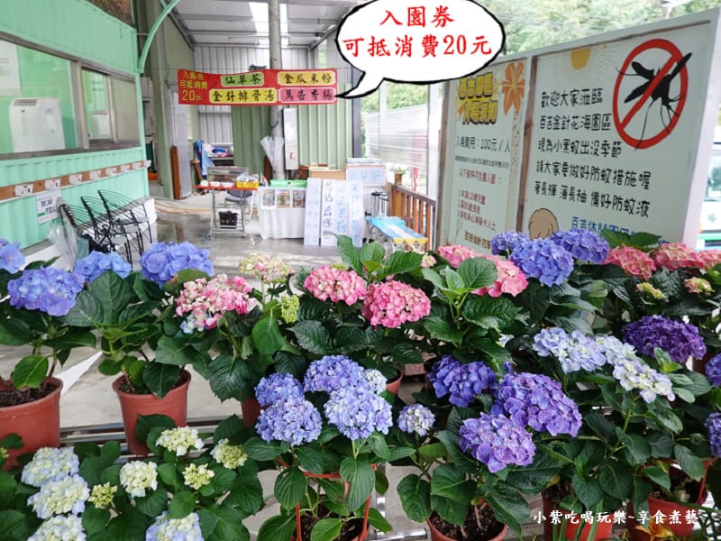 門票20元可折抵消費-2025百吉金針花海.jpg 門票20元可折抵消費-2025百吉金針花海.jpg