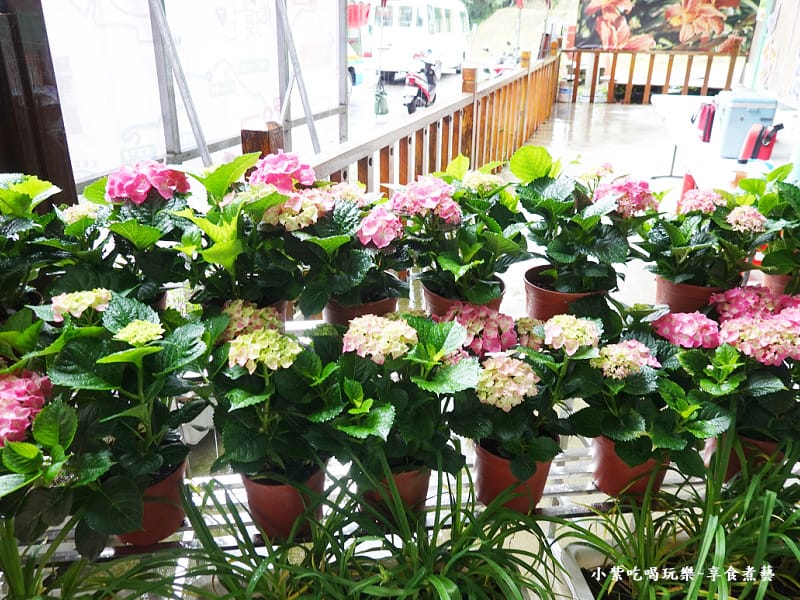 大溪-百吉休閒農業體驗園區遊客中心 (9).jpg 大溪-百吉休閒農業體驗園區遊客中心 (9).jpg