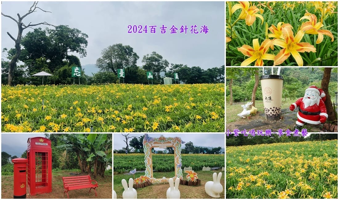 2024大溪-百吉金針花海.jpg 2024大溪-百吉金針花海.jpg