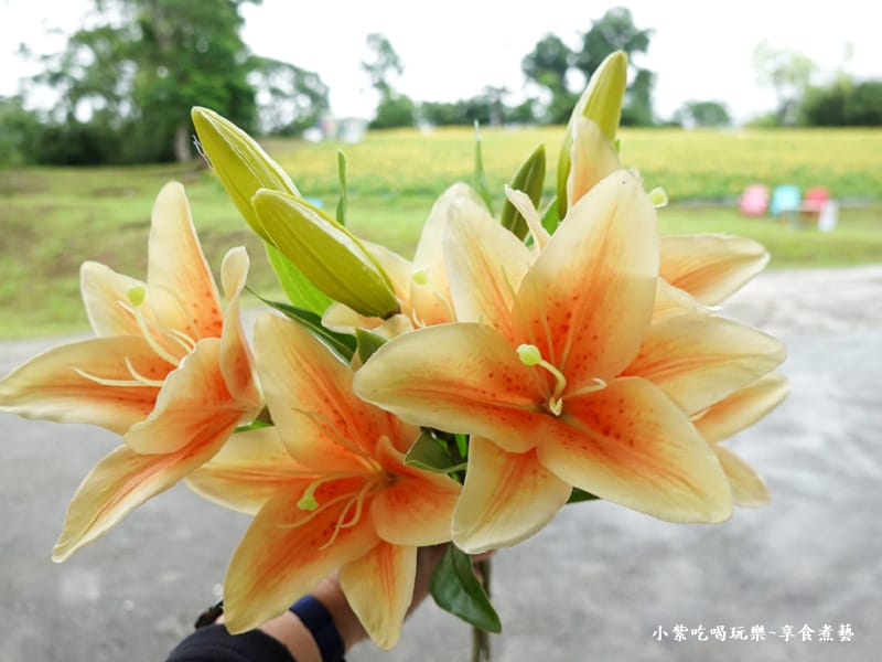 打卡拍照花束道具-百吉金針花 (2).jpg 打卡拍照花束道具-百吉金針花 (2).jpg