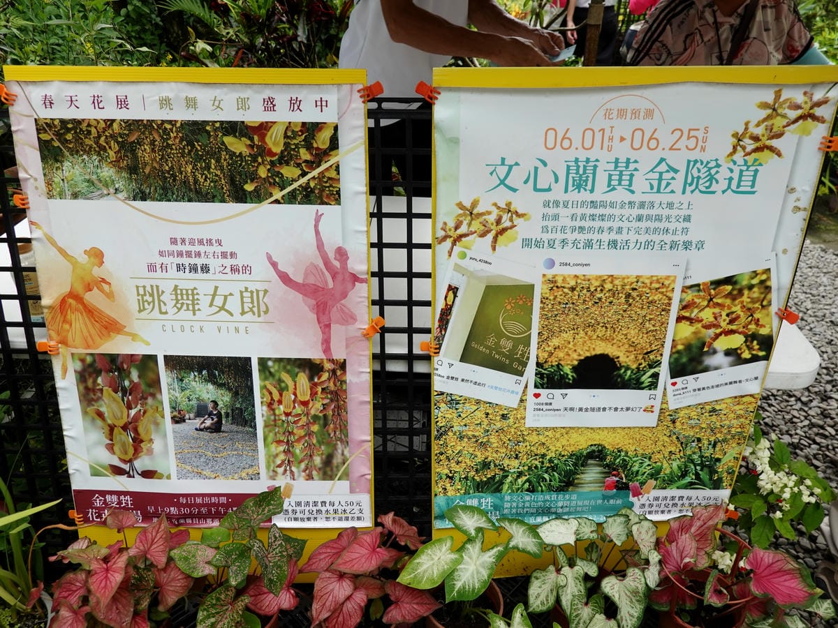 56月展出的花卉-金雙甡花卉農場.JPG