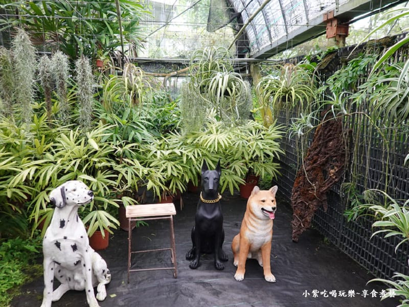 狗裝置拍照區-金雙甡花卉農場.jpg