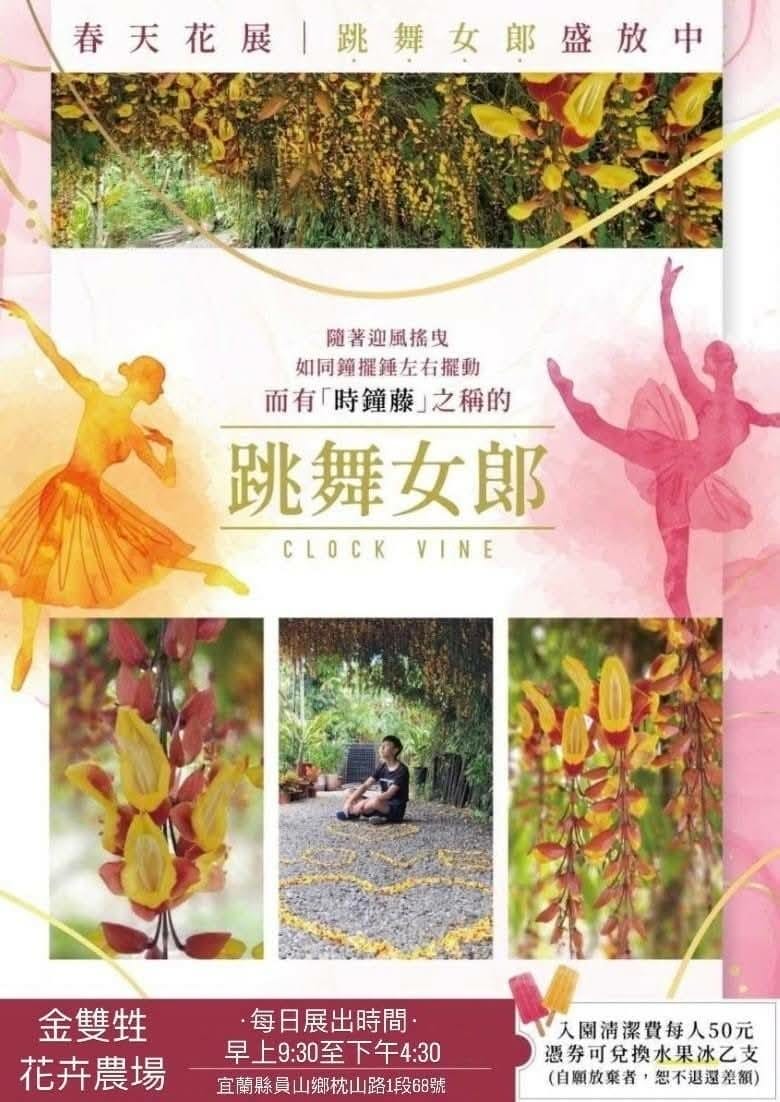 56月跳舞女郎-金雙甡花卉農場.jpg