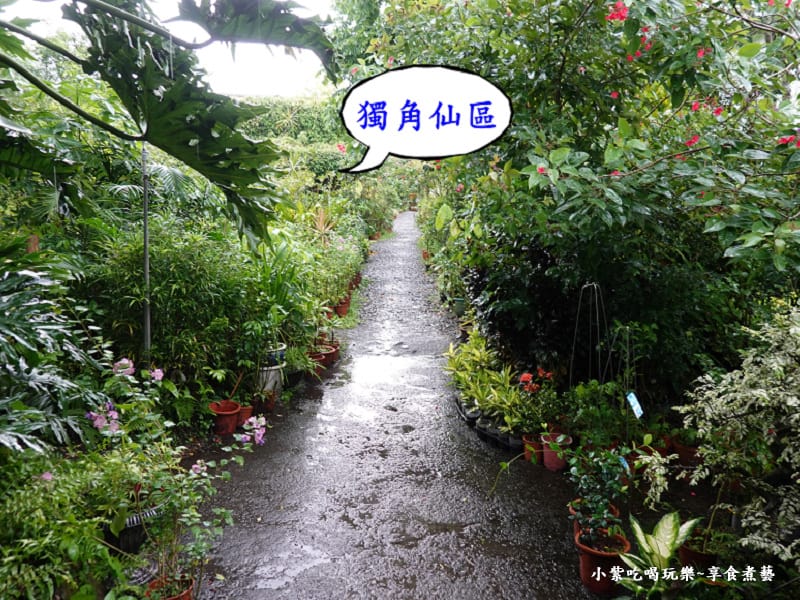 獨角仙區花卉-金雙甡花卉農場.jpg