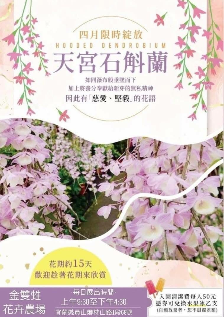 4月天宮石斛蘭-金雙甡花卉農場.jpg