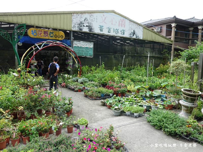 花卉販售區-金雙甡花卉農場.jpg