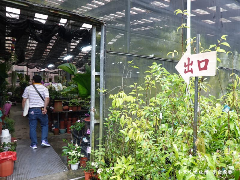 花卉販售區-金雙甡花卉農場 (1).jpg