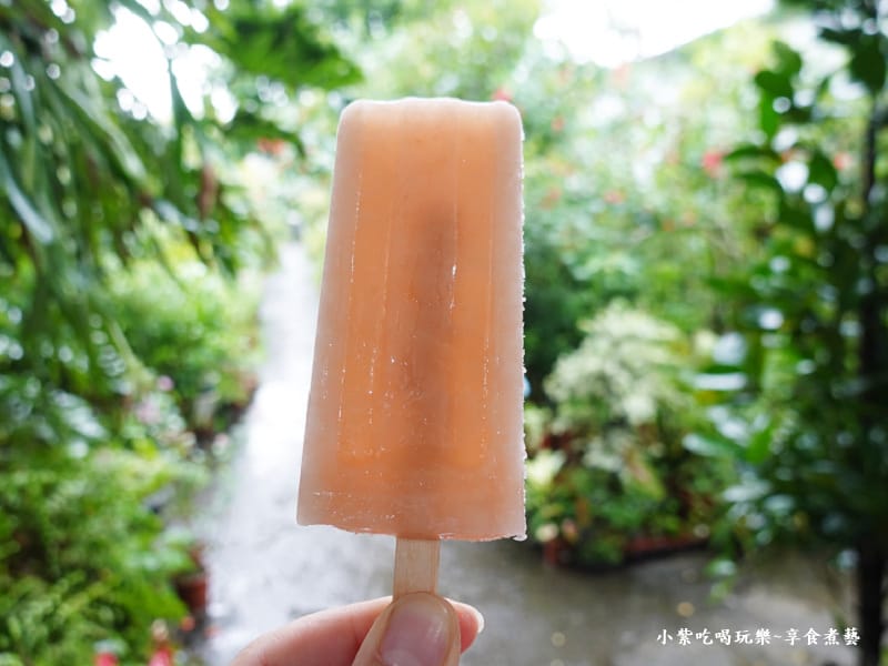 紅心芭樂冰棒-金雙甡花卉農場.jpg