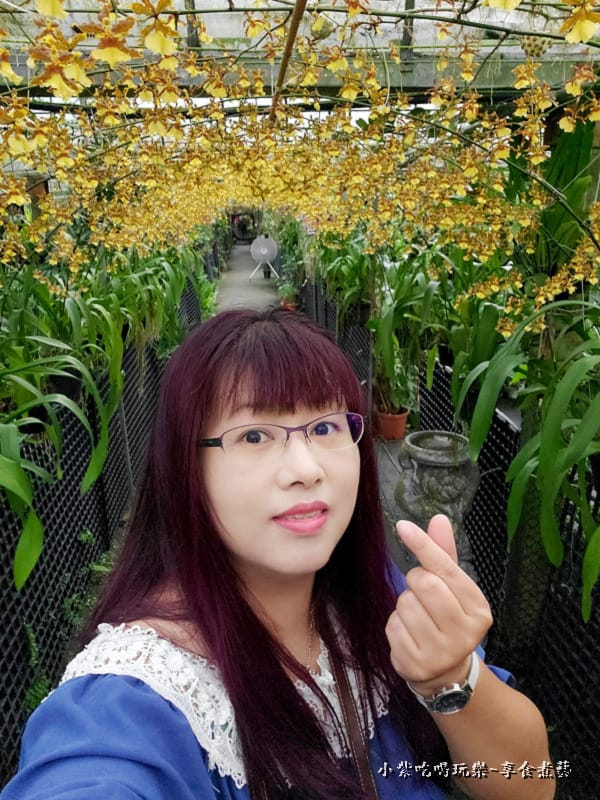 紫相片-金雙甡花卉農場 (1).jpg