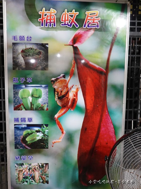 捕蚊居-金雙甡花卉農場5.jpg