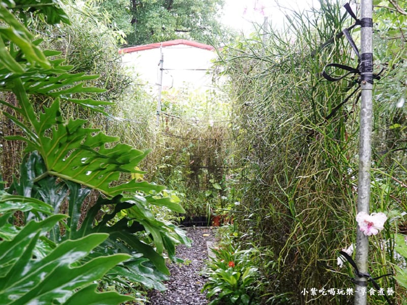 蘭花隧道-金雙甡花卉農場.jpg